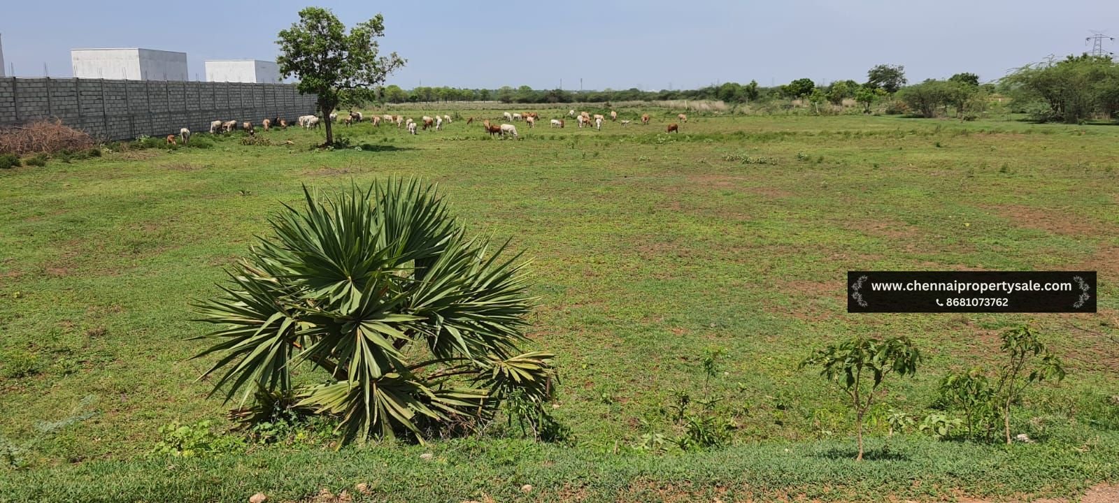 2 Acre Farm Land Sale Near Poondi