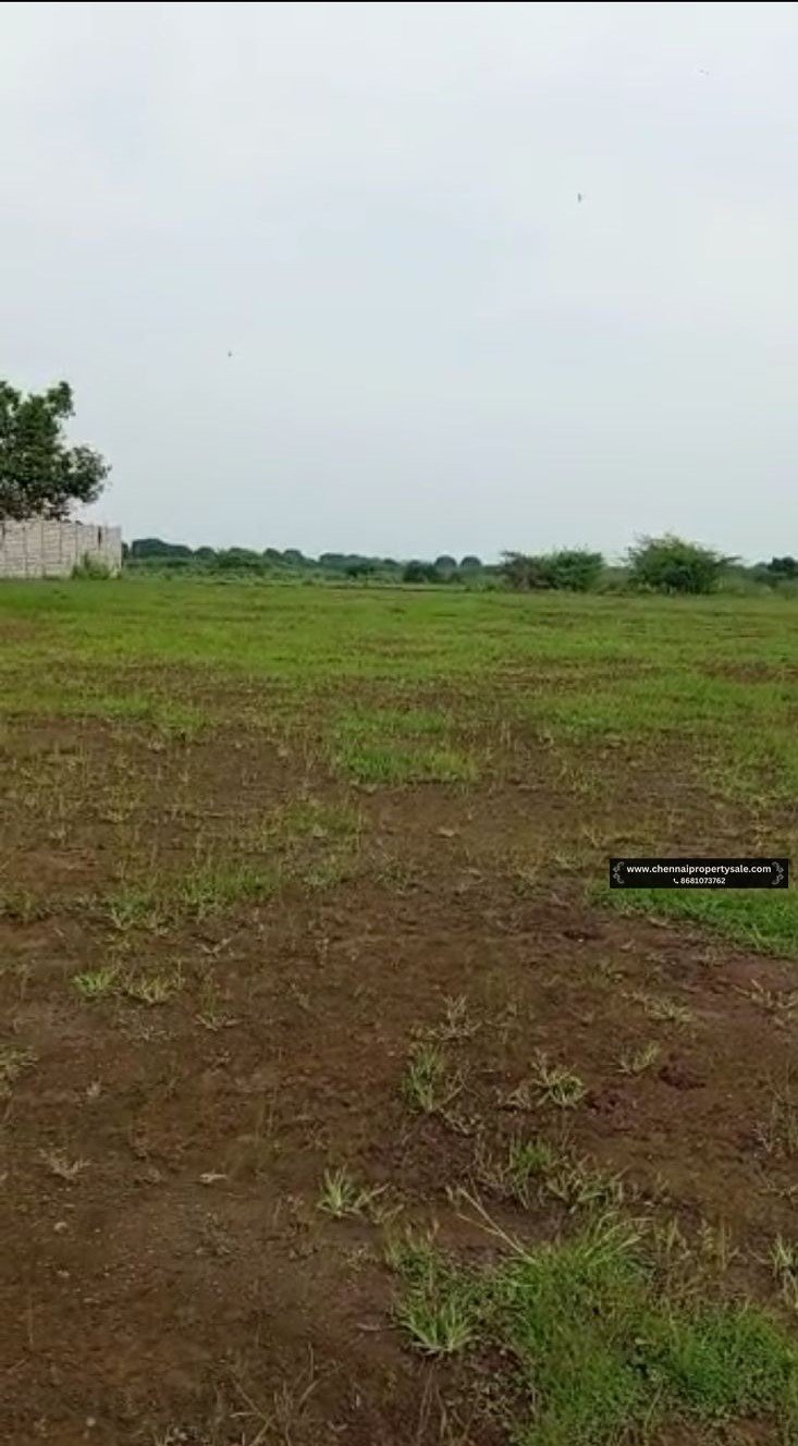 2 Acre Farm Land Sale Near Poondi