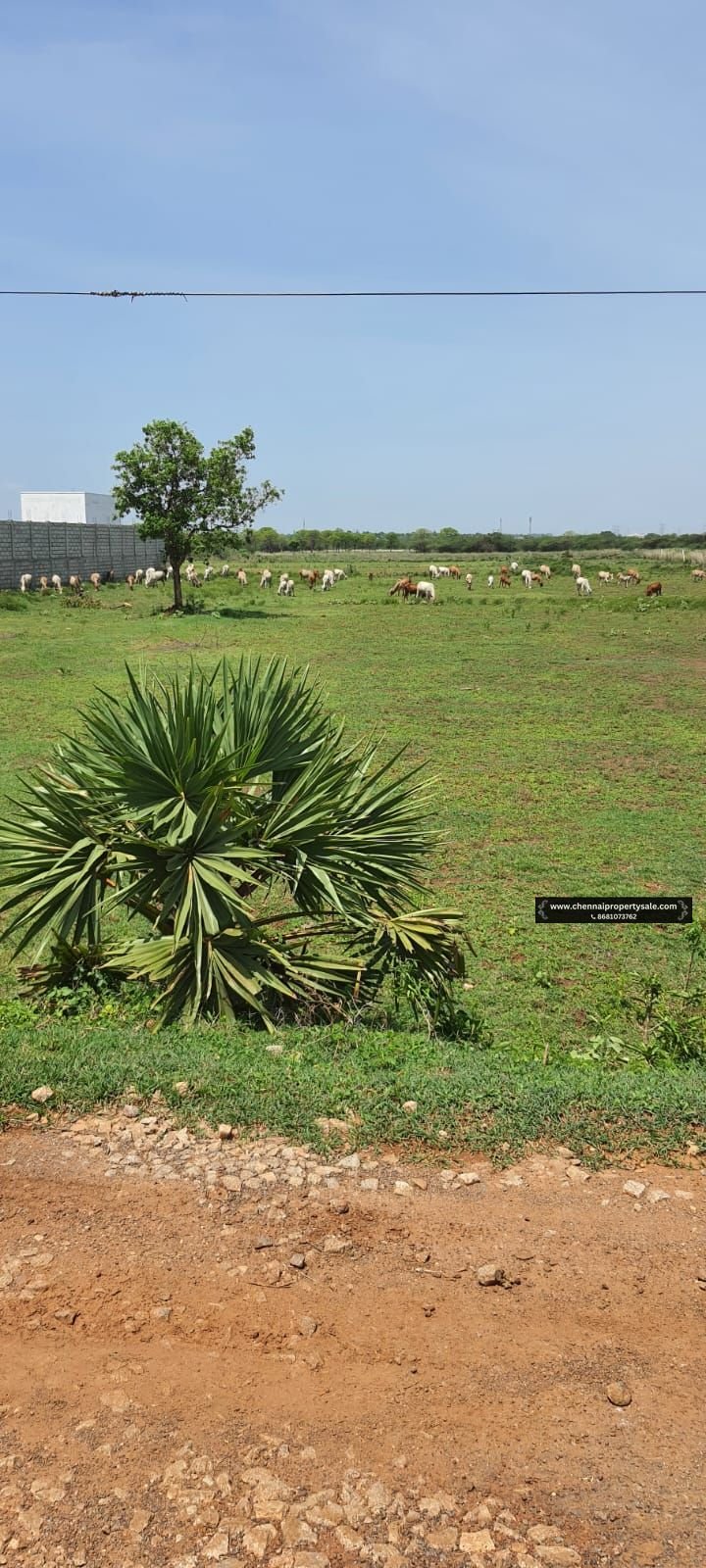 2 Acre Farm Land Sale Near Poondi