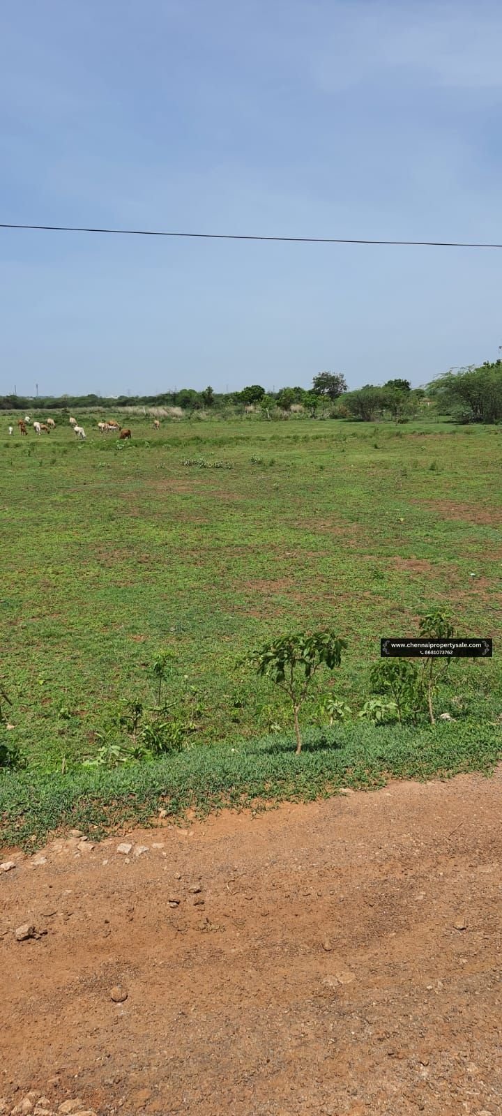 2 Acre Farm Land Sale Near Poondi