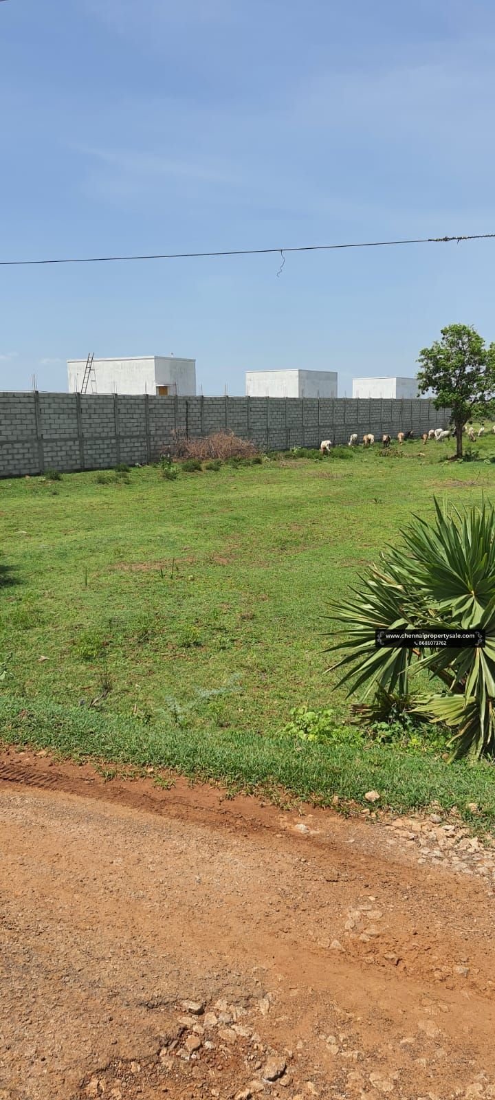 2 Acre Farm Land Sale Near Poondi