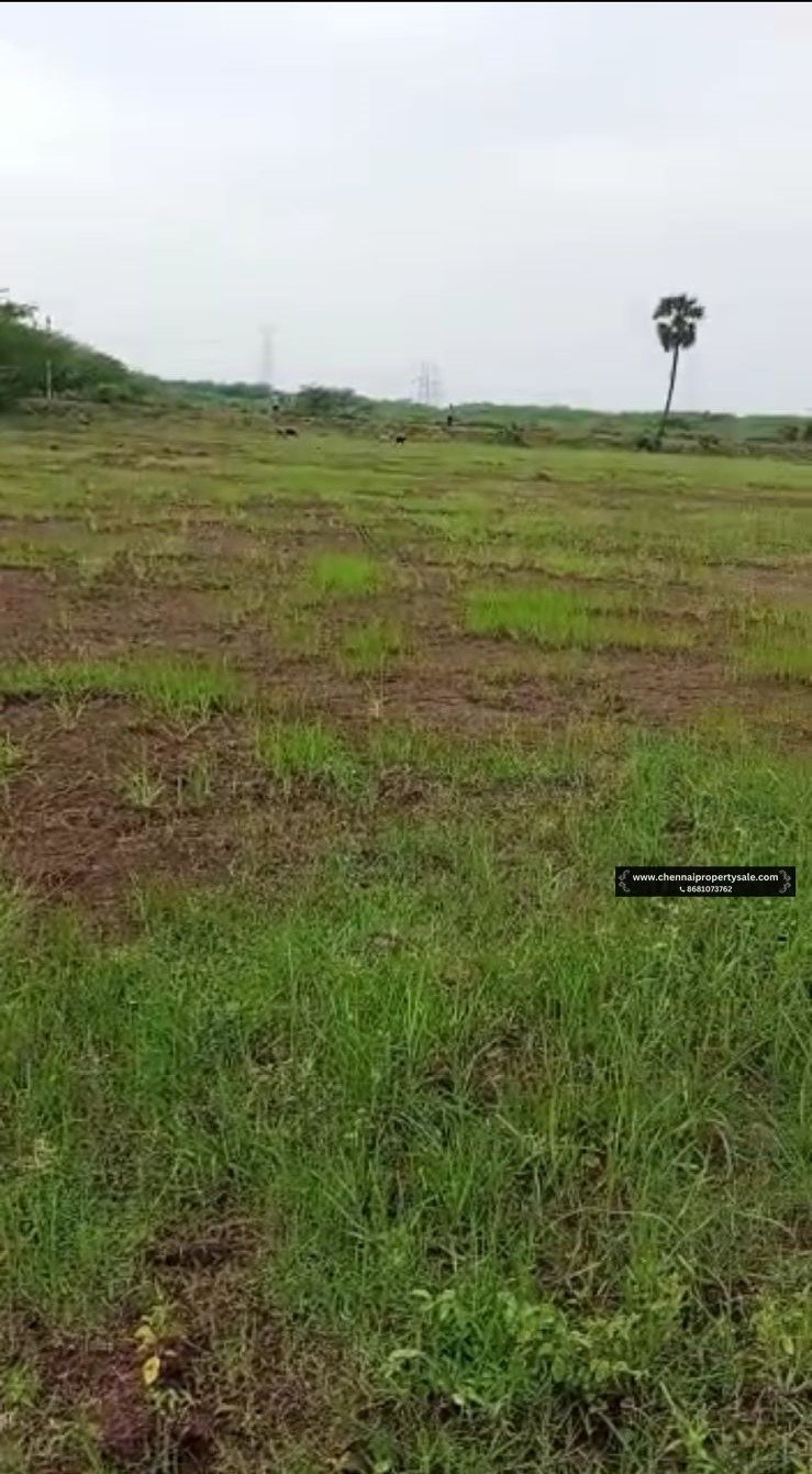 2 Acre Farm Land Sale Near Poondi