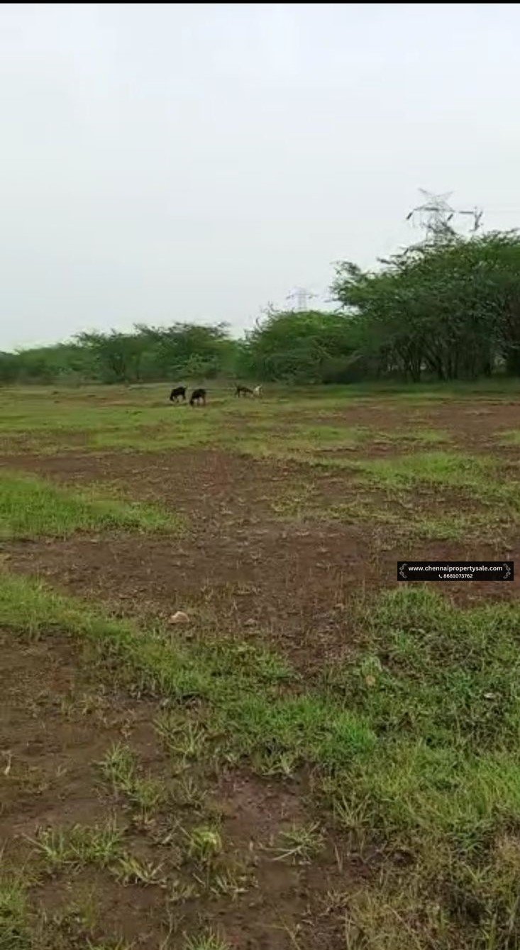 2 Acre Farm Land Sale Near Poondi