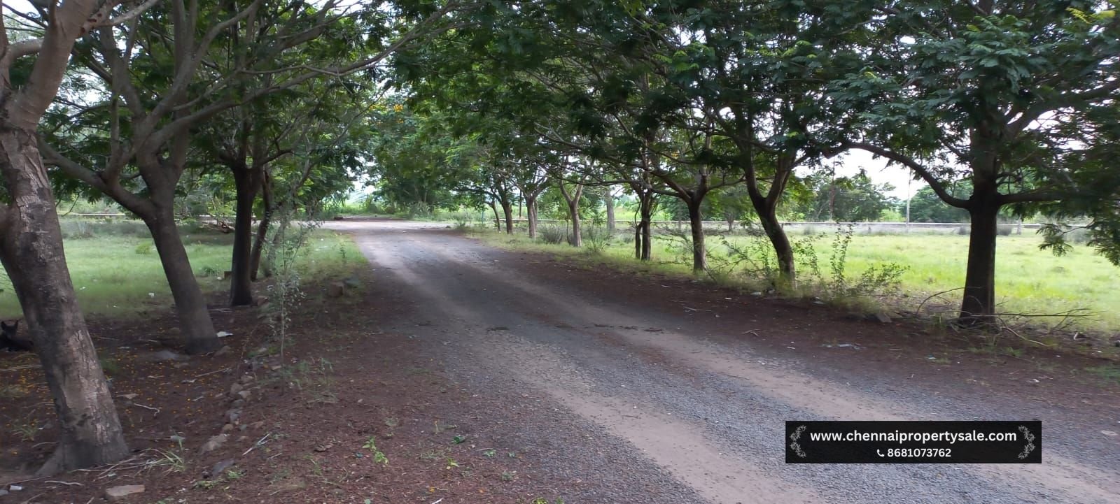 DTCP Approved Land Sale in Manimangalam