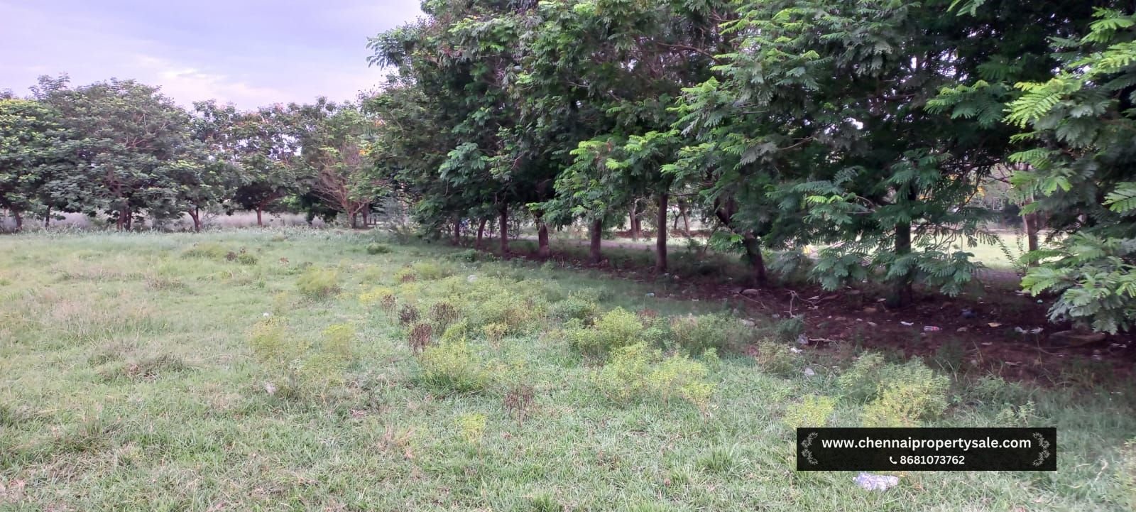 2400 Sqft DTCP Approved Land Sale in Manimangalam