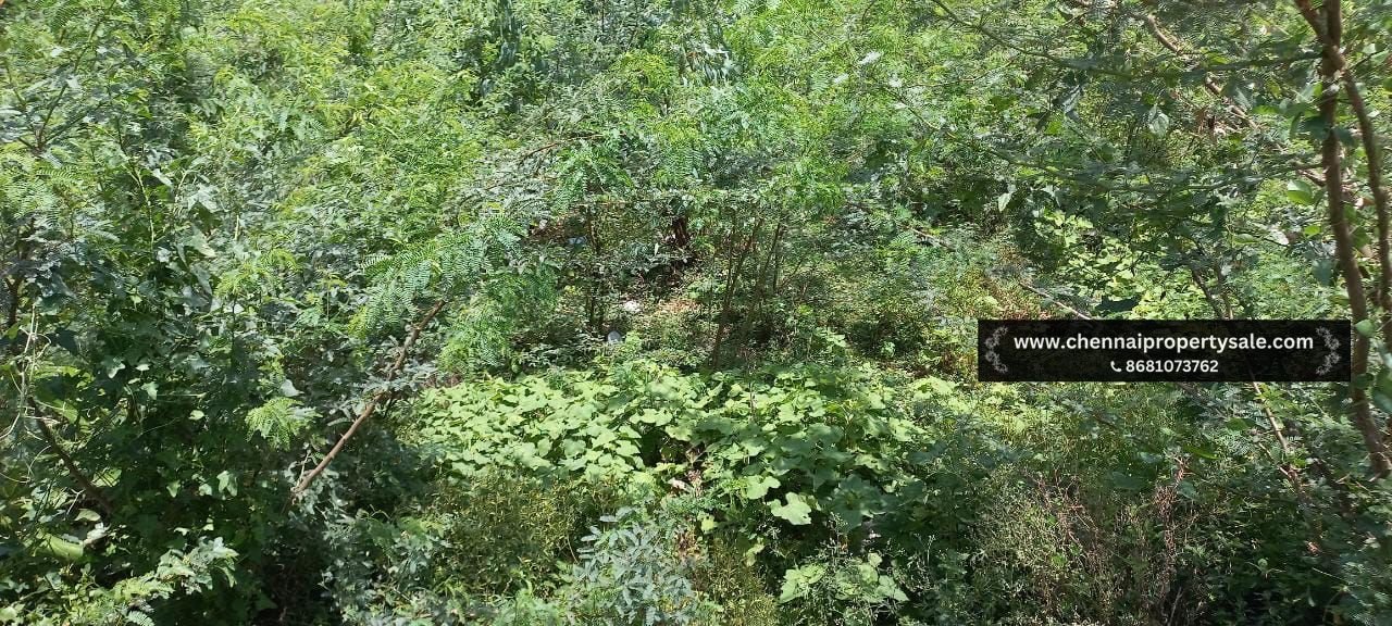 3 Acre Land Sale in Kundrathur