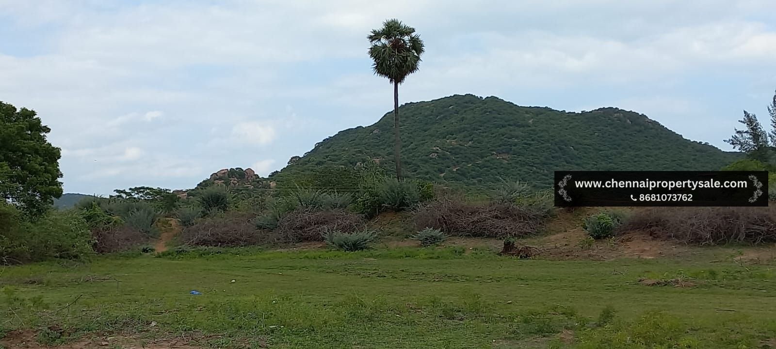 6.84 Acre Land Sale in Kunnavakkam near Chengalpattu