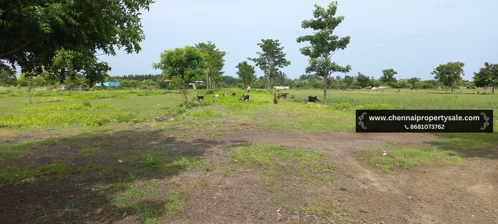 9213 Sqft Farm Land Sale near Poonthandalam