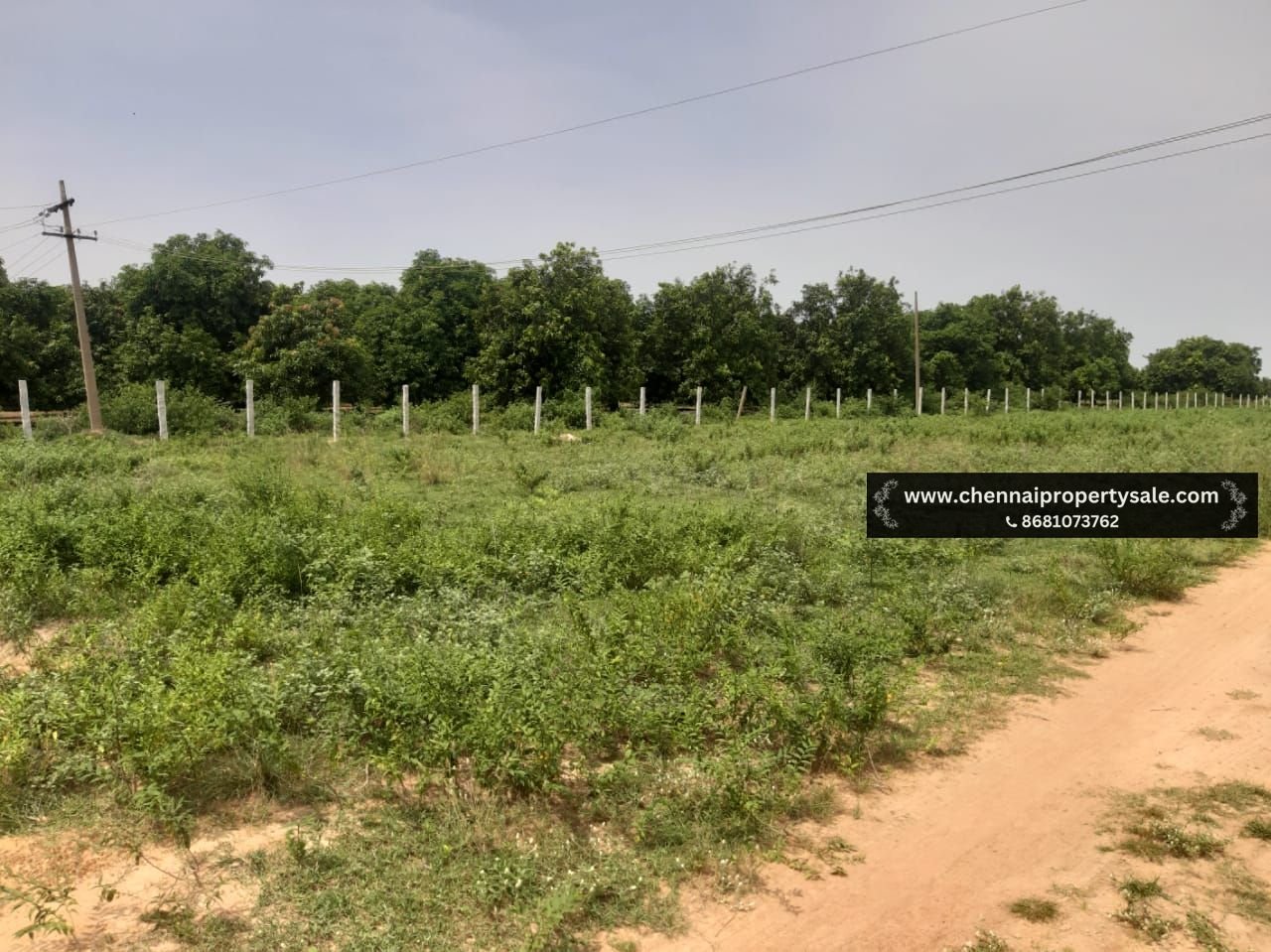 23 Acres Land Sale in Gummidipoondi near MELPAKKAM