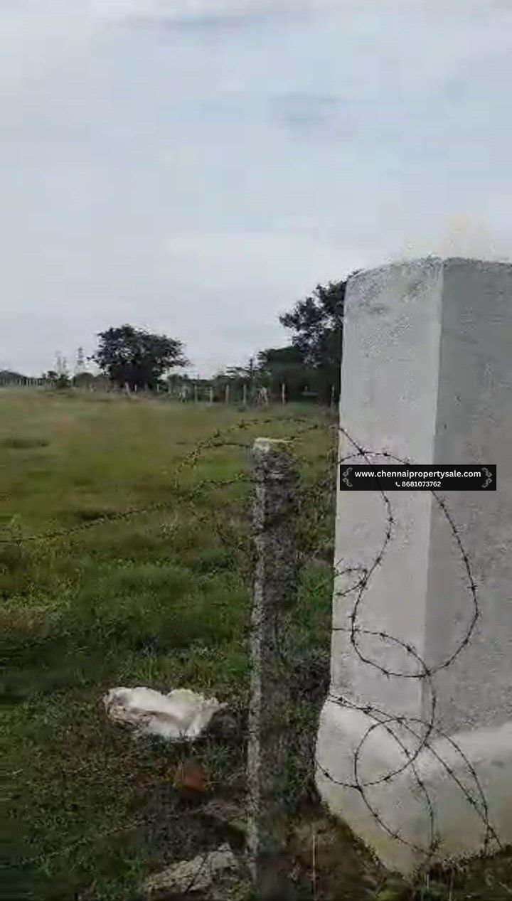 5 Acre Punjai Land Sale in Sriperumbudur