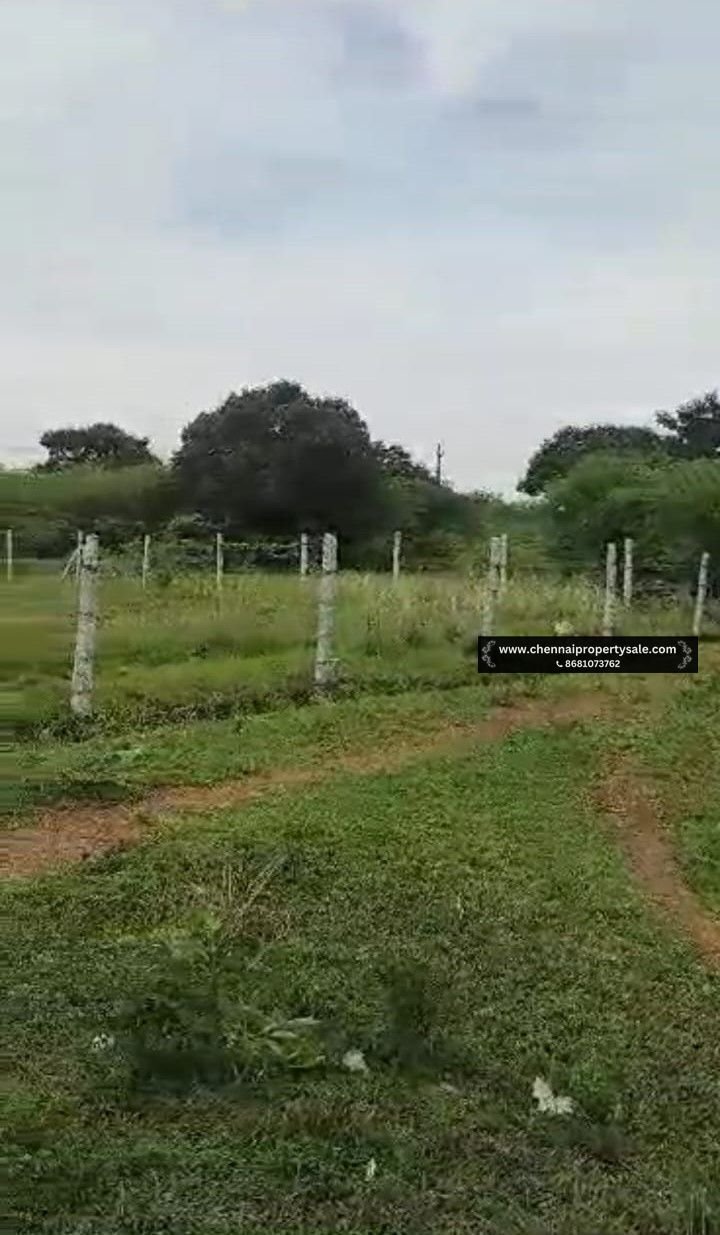 5 Acre Punjai Land Sale in Sriperumbudur