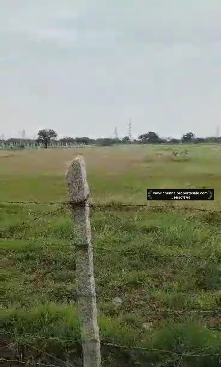 5 Acre Punjai Land Sale in Sriperumbudur