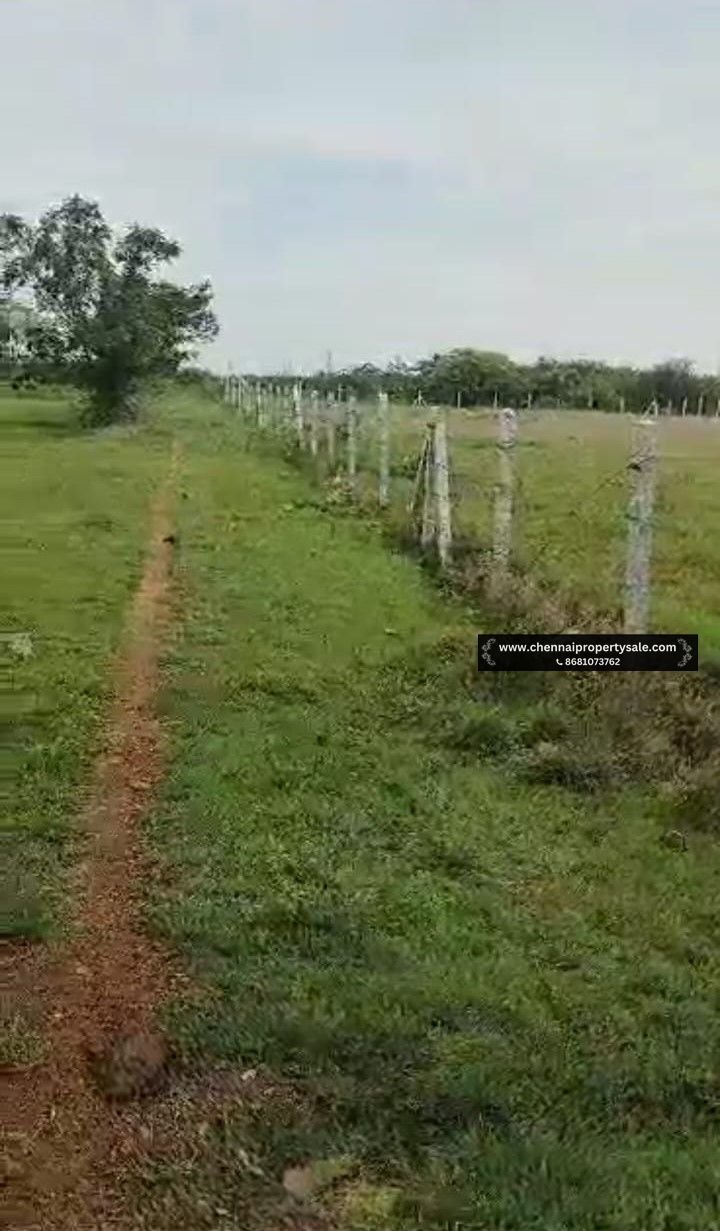 5 Acre Punjai Land Sale in Sriperumbudur