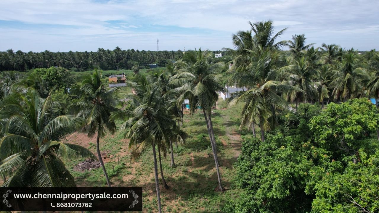 6.3 Ground Residential Plot sale in ECR Pudupattinam
