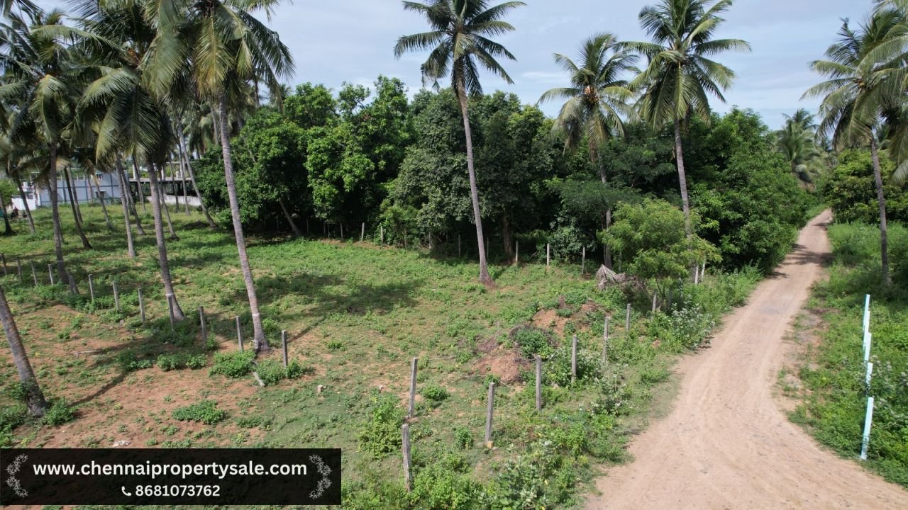 6.3 Ground Residential Plot sale in ECR Pudupattinam