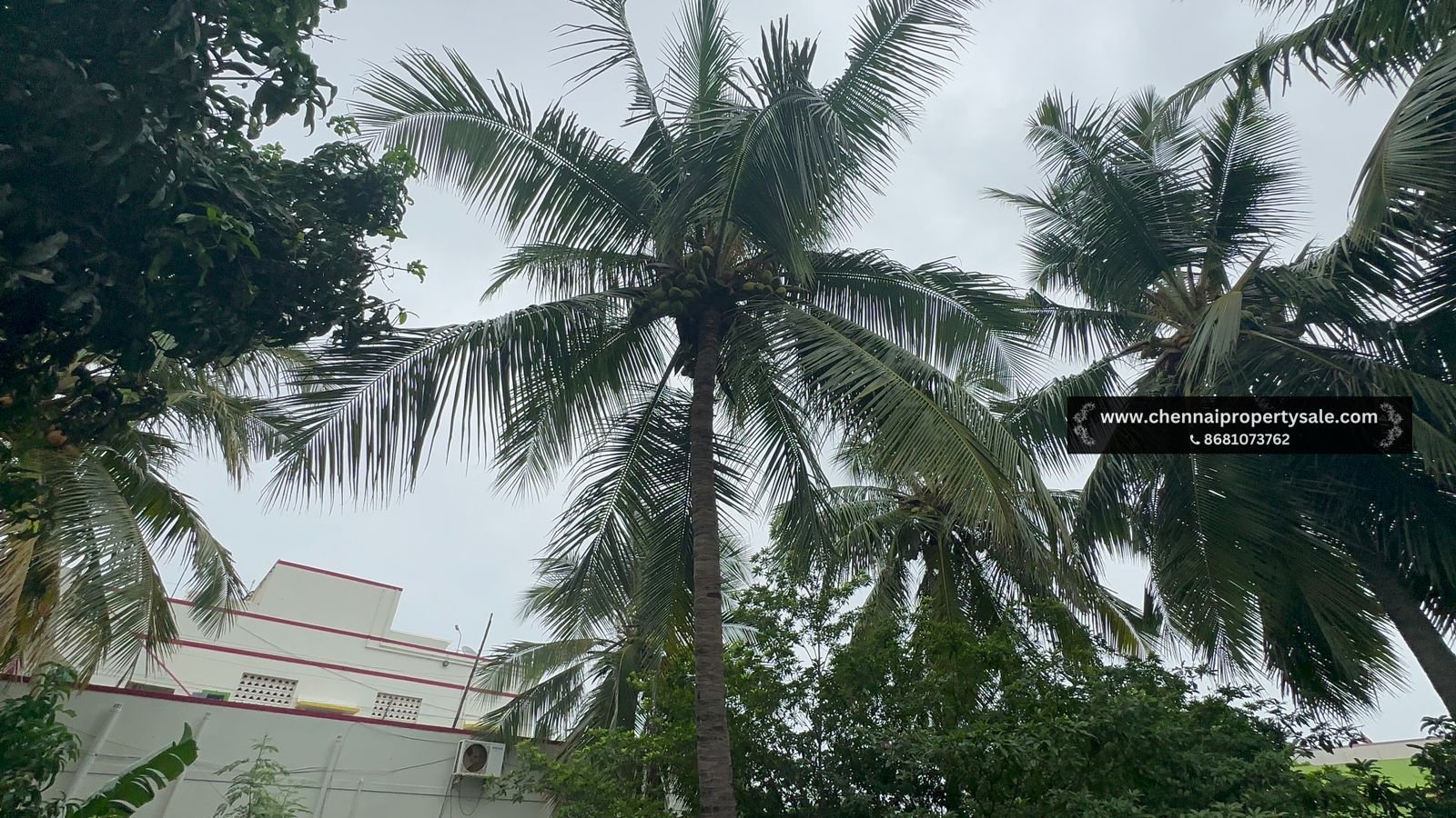 4000 Sqft Old Individual House Sale in Avadi Poompozil Nagar