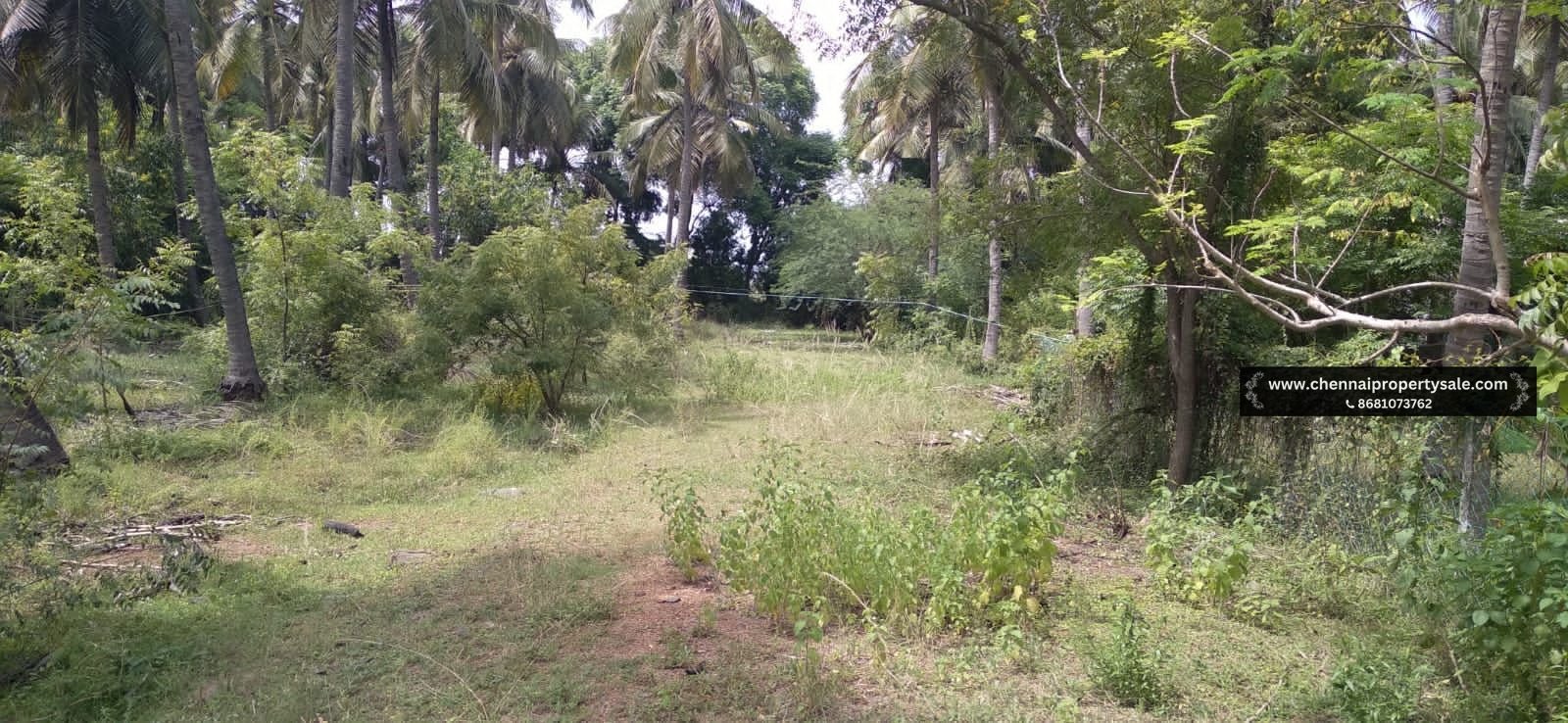 1272 Sqft Land Sale in Thaiyur OMR