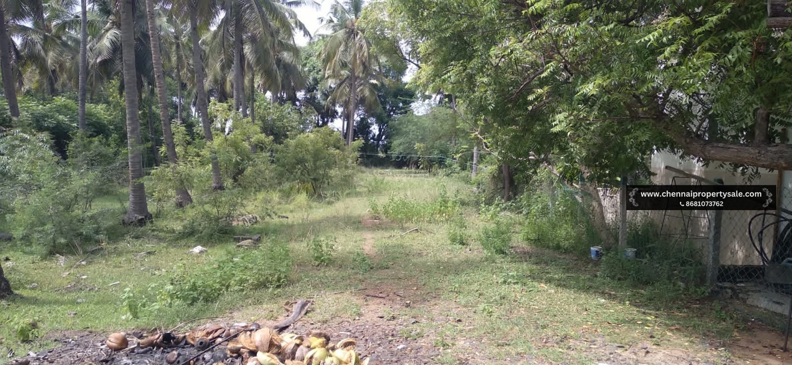 1272 Sqft Land Sale in Thaiyur OMR