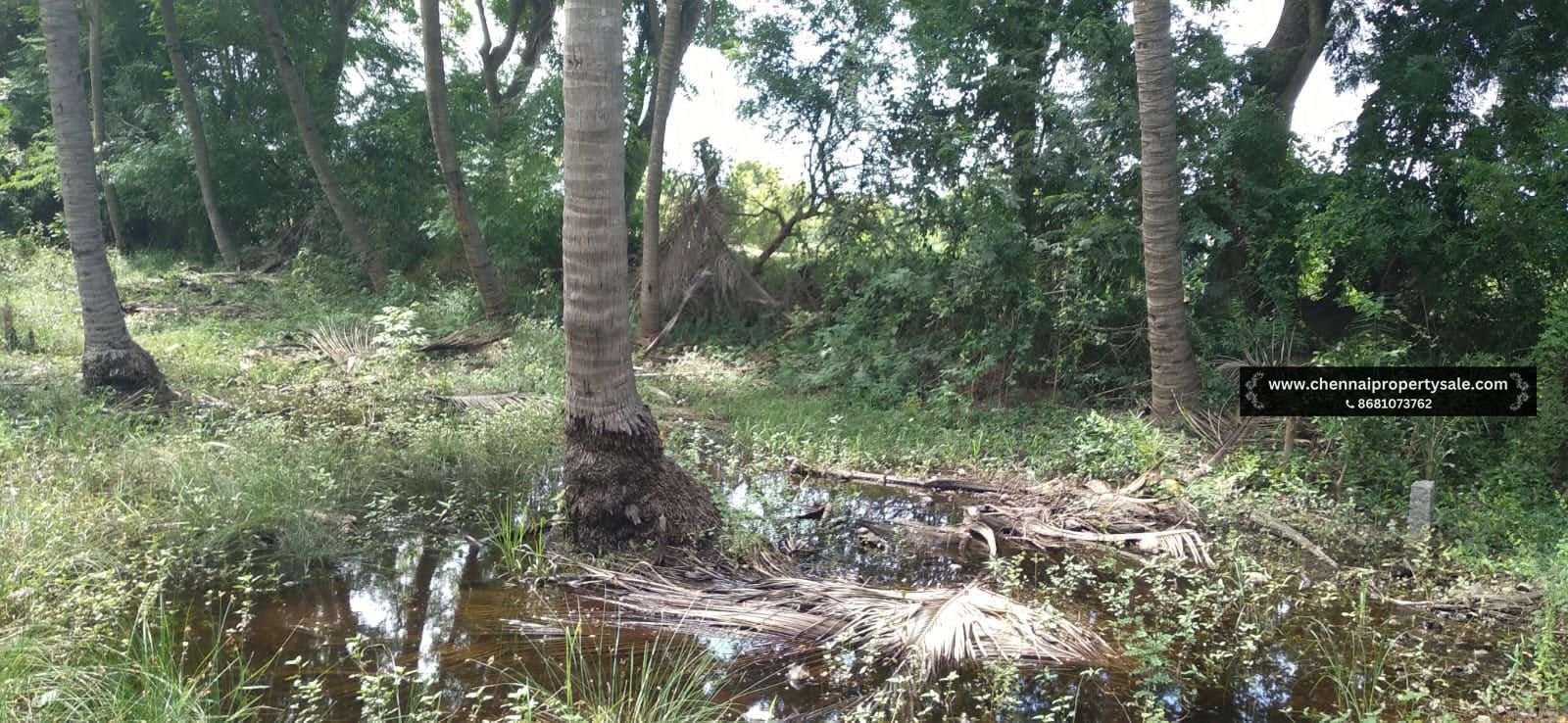 1272 Sqft Land Sale in Thaiyur OMR