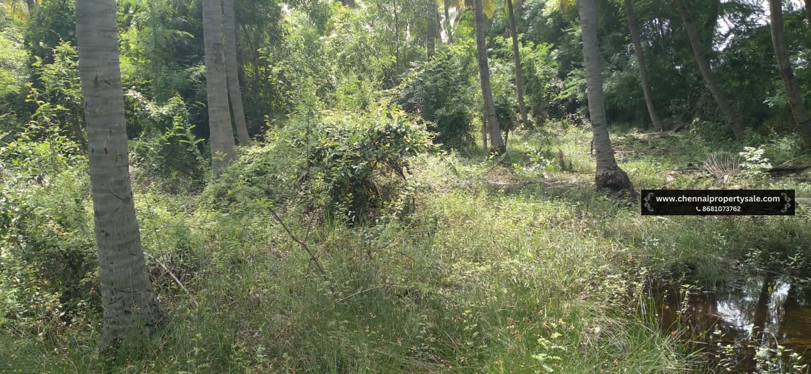 1272 Sqft Land Sale in Thaiyur OMR