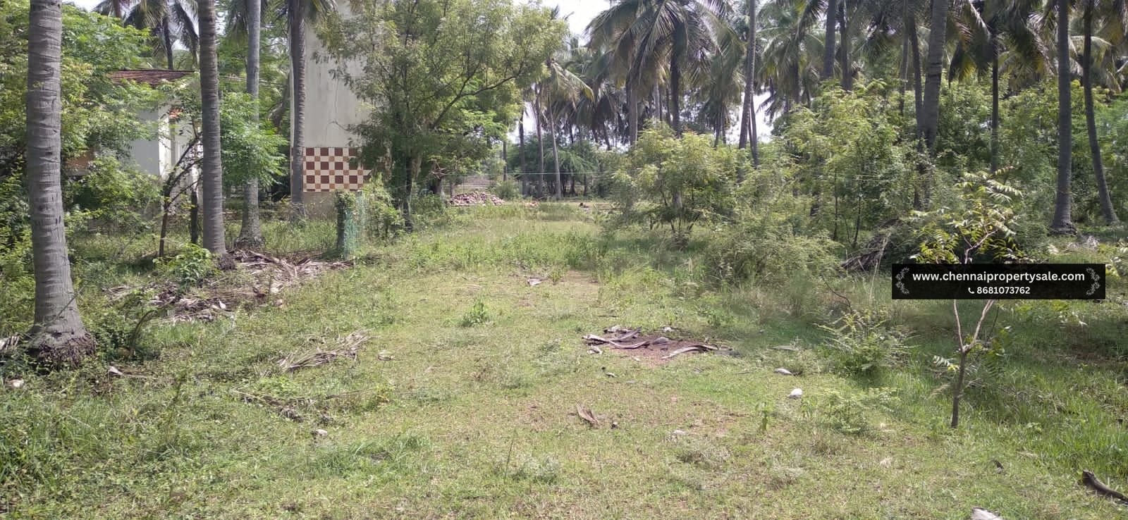 1272 Sqft Land Sale in Thaiyur OMR