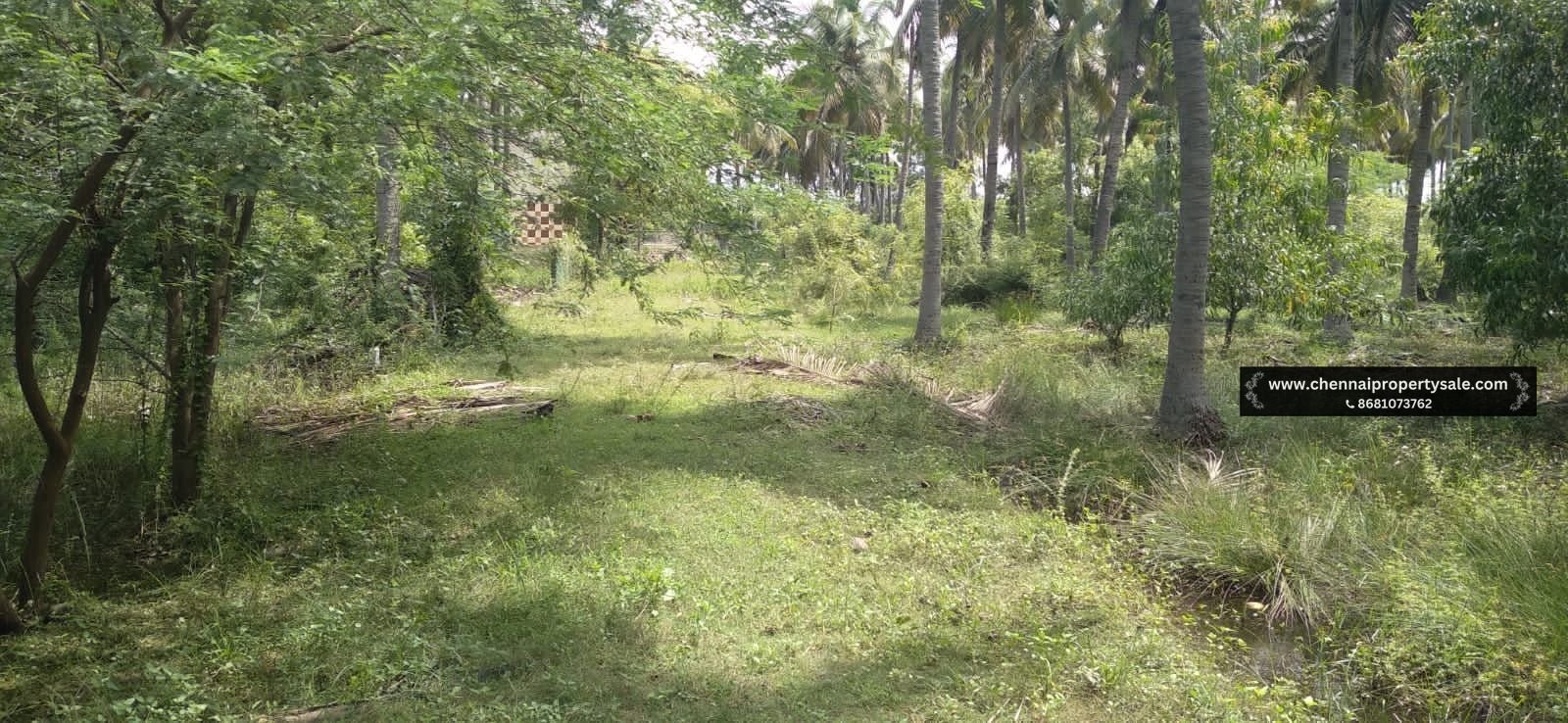 1272 Sqft Land Sale in Thaiyur OMR