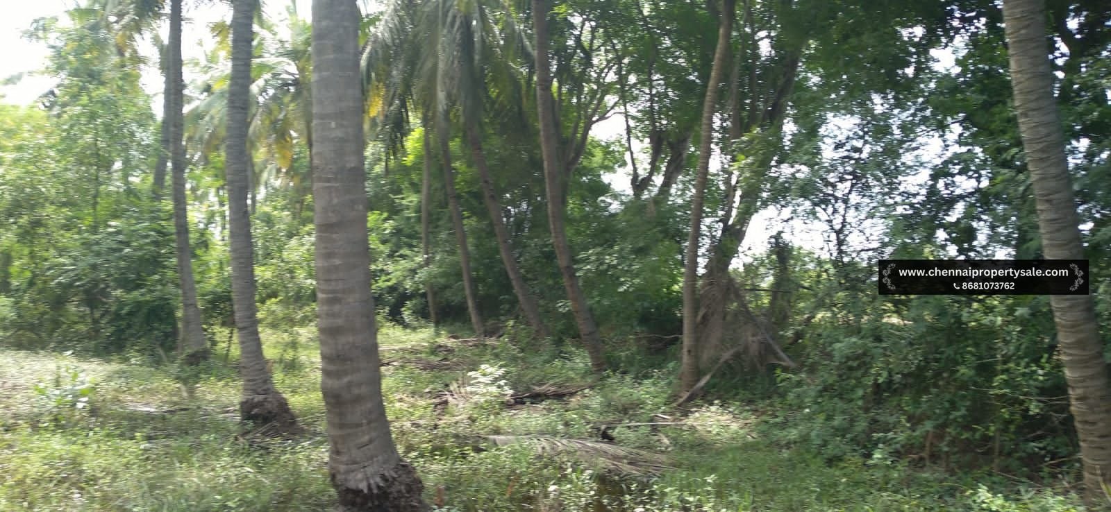 1272 Sqft Land Sale in Thaiyur OMR