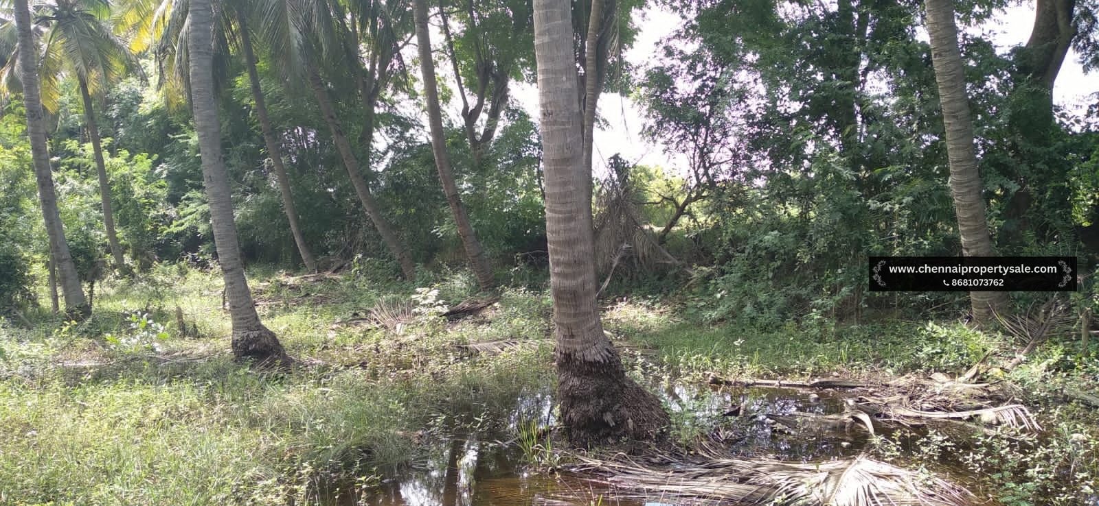 1272 Sqft Land Sale in Thaiyur OMR