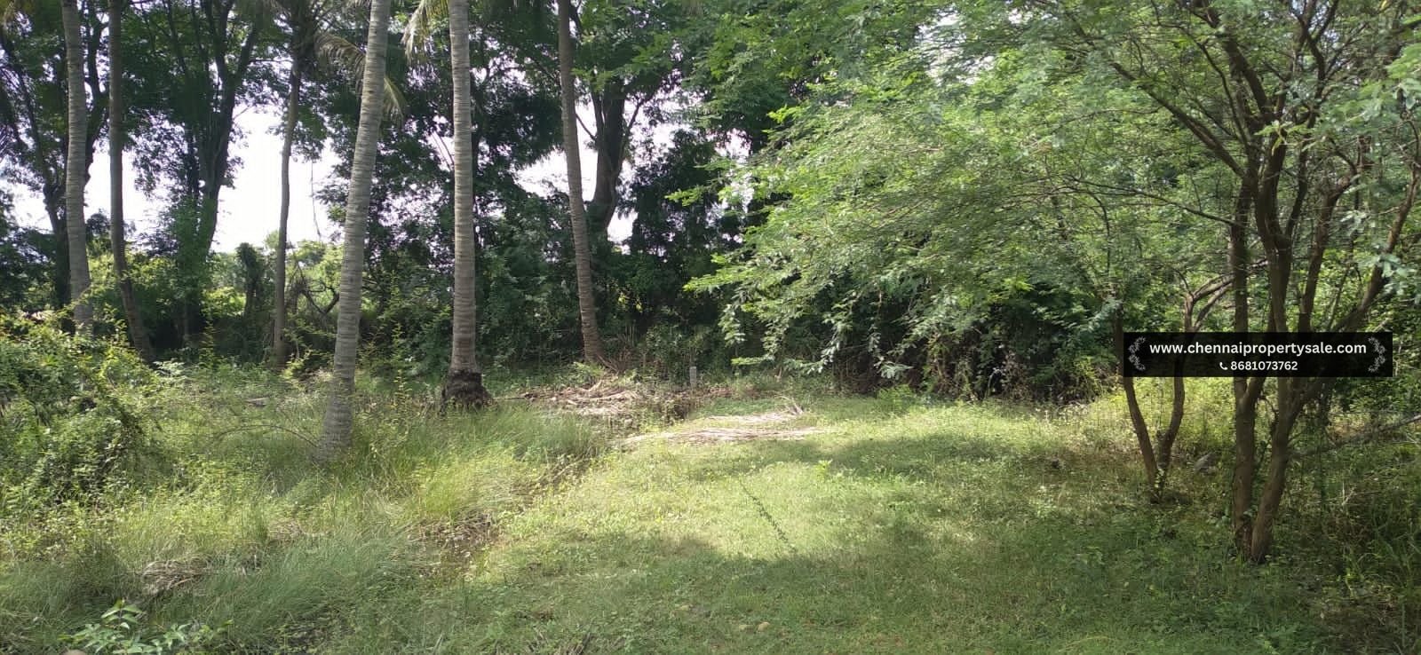 1272 Sqft Land Sale in Thaiyur OMR