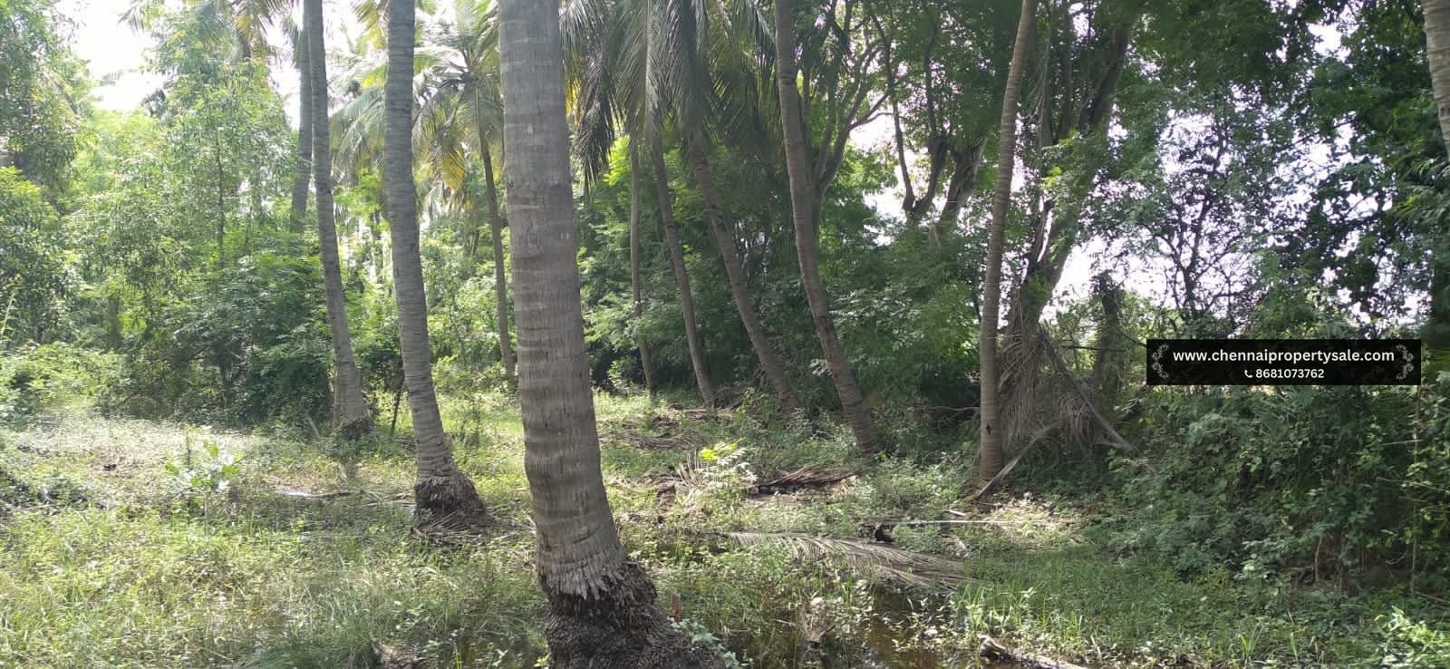 1272 Sqft Land Sale in Thaiyur OMR