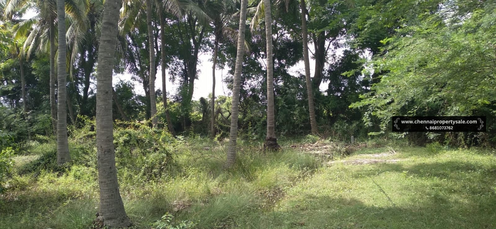 1272 Sqft Land Sale in Thaiyur OMR
