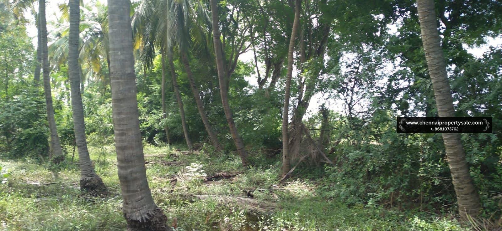 1272 Sqft Land Sale in Thaiyur OMR