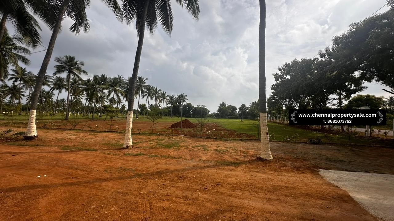 Assured Rental Income Farm Land Sale in ECR