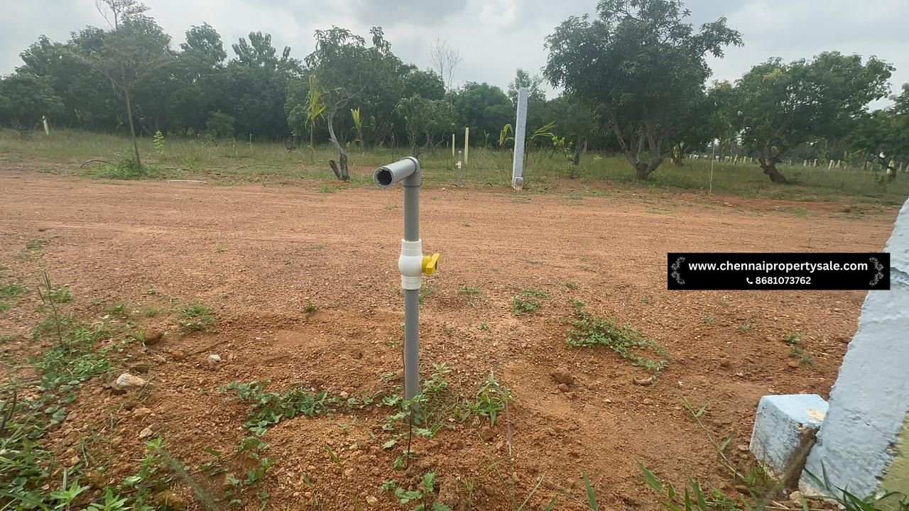 10000 Sqft Farm Land Sale in Pavunjur