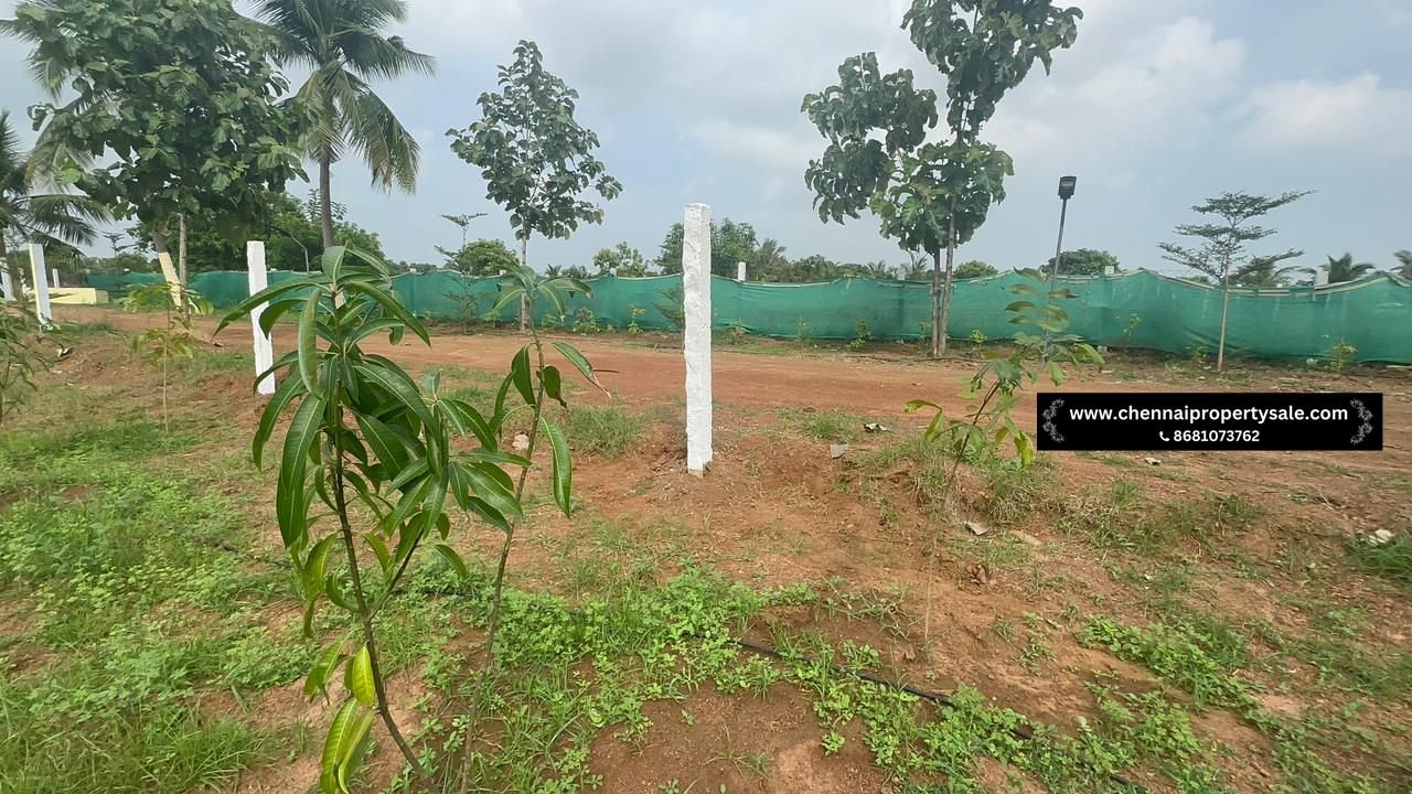 10000 Sqft Farm Land Sale in Pavunjur