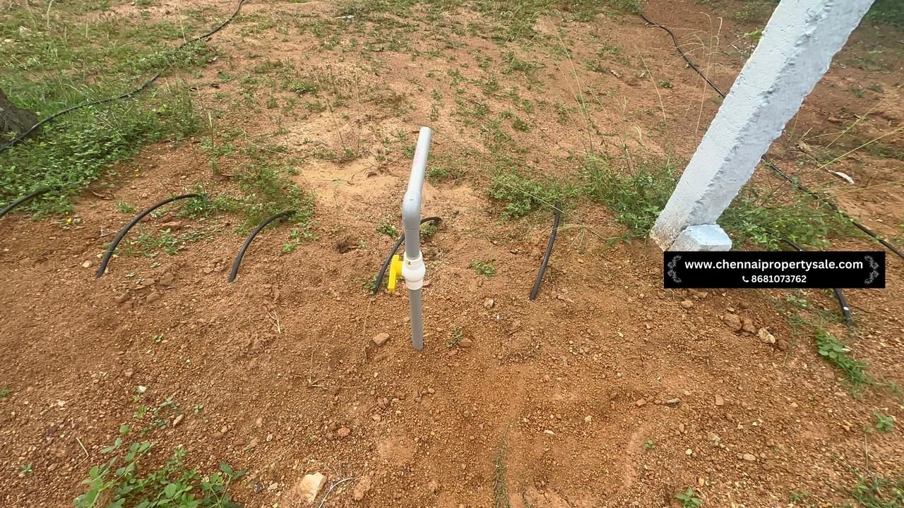 10000 Sqft Farm Land Sale in Pavunjur