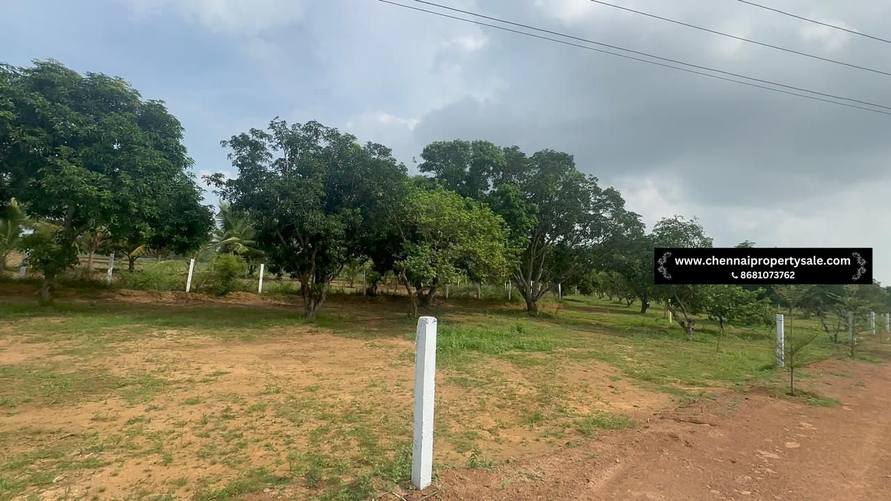 10000 Sqft Farm Land Sale in Pavunjur