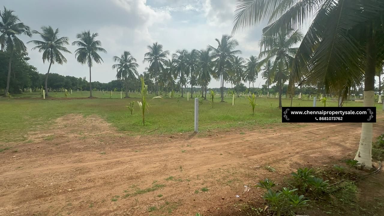 10000 Sqft Farm Land Sale in Pavunjur