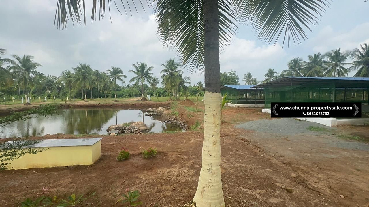 10000 Sqft Farm Land Sale in Pavunjur
