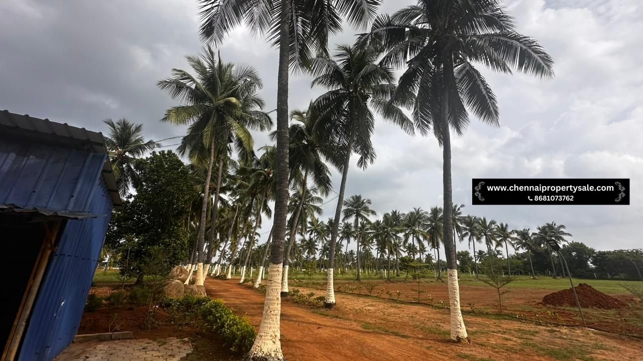 10000 Sqft Farm Land Sale in Pavunjur