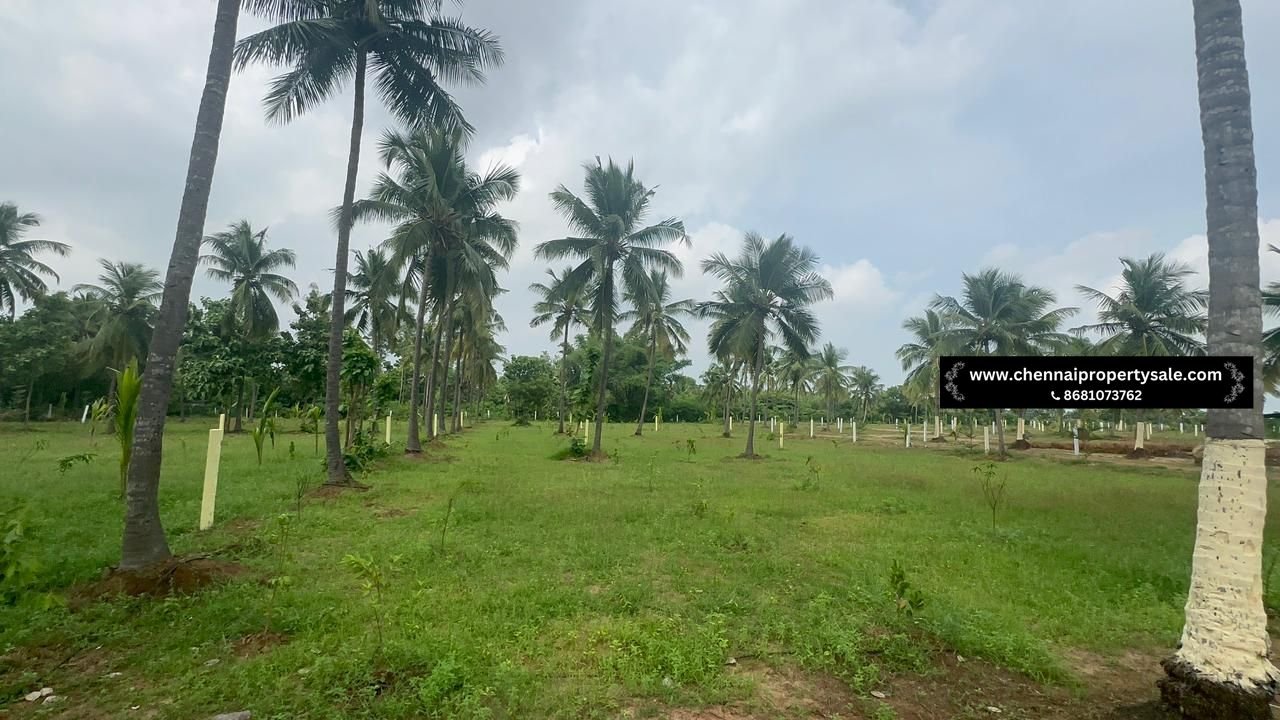 10000 Sqft Farm Land Sale in Pavunjur