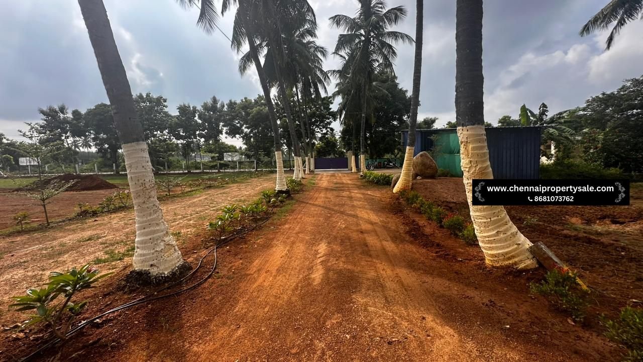 10000 Sqft Farm Land Sale in Pavunjur