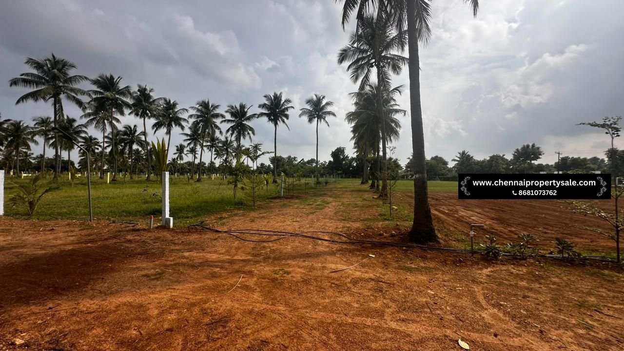 10000 Sqft Farm Land Sale in Pavunjur