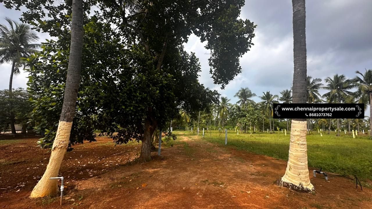 10000 Sqft Farm Land Sale in Pavunjur