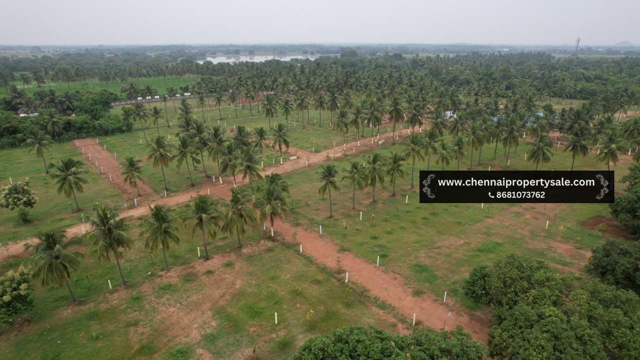 10000 Sqft Farm Land Sale in Pavunjur