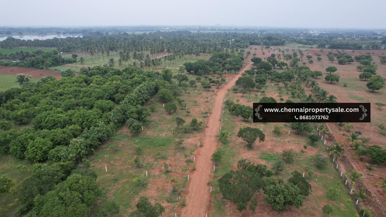 10000 Sqft Farm Land Sale in Pavunjur