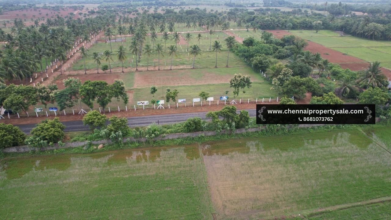 10000 Sqft Farm Land Sale in Pavunjur