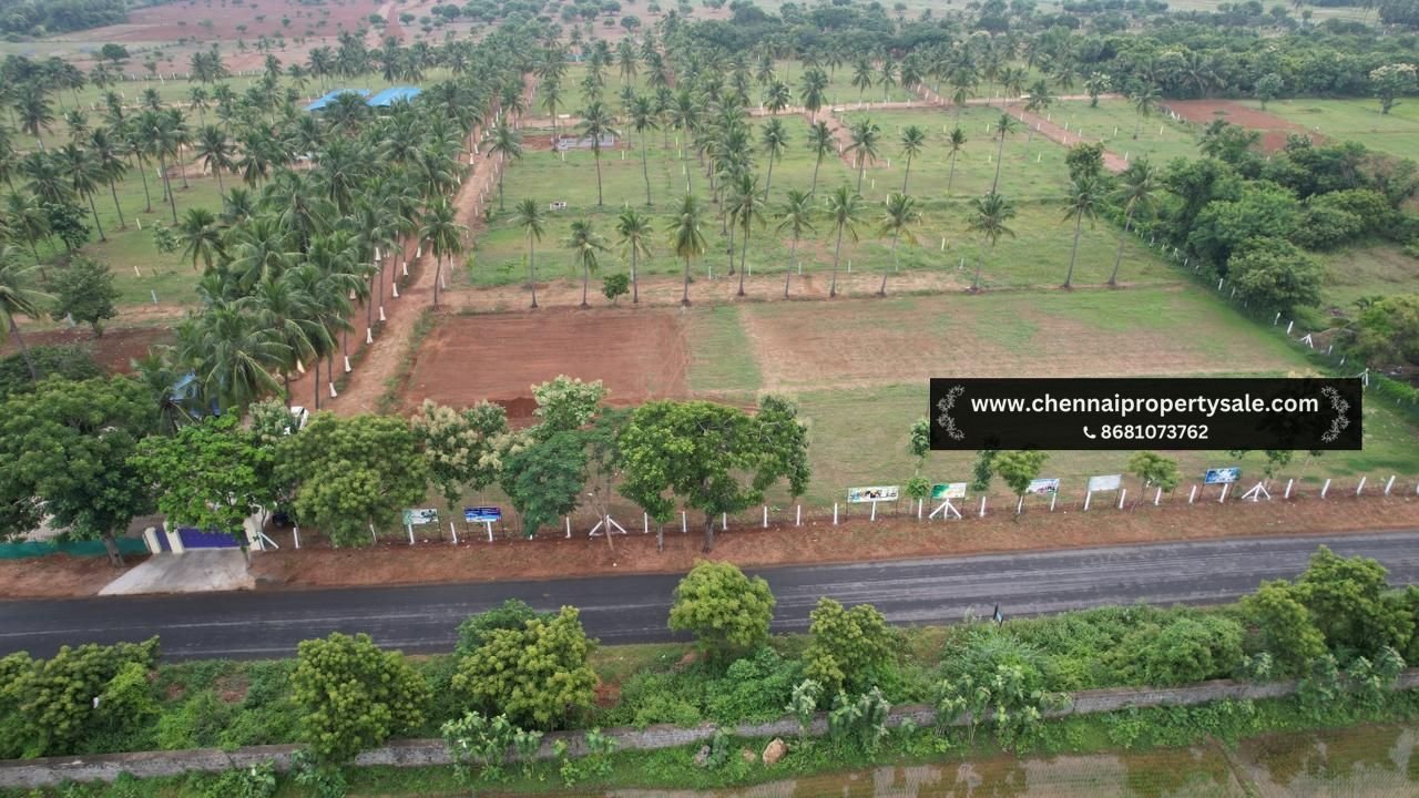 10000 Sqft Farm Land Sale in Pavunjur