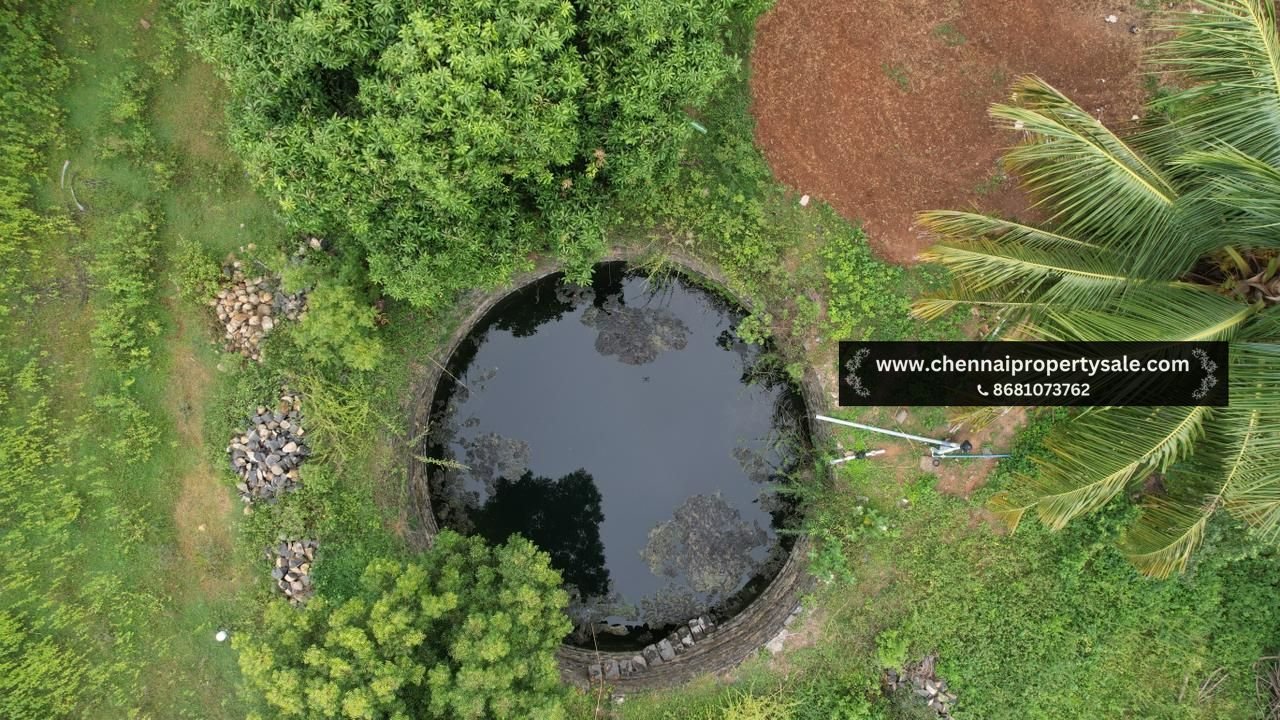 10000 Sqft Farm Land Sale in Pavunjur