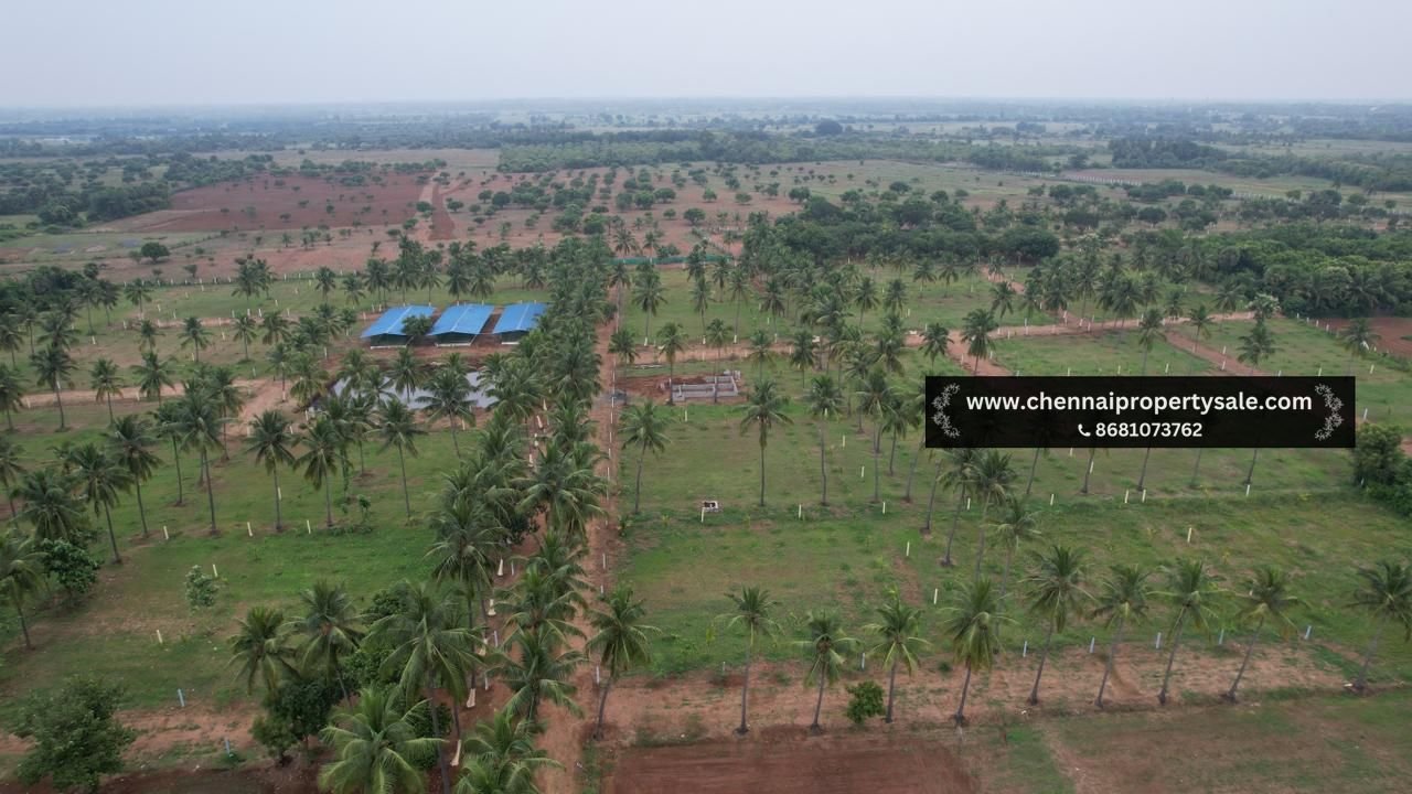 10000 Sqft Farm Land Sale in Pavunjur